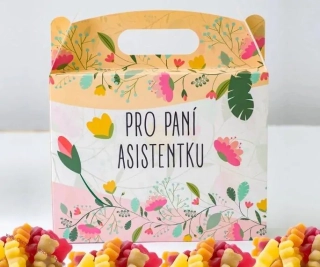 DÁRKOVÝ BOX PRO PANÍ ASISTENTKU
